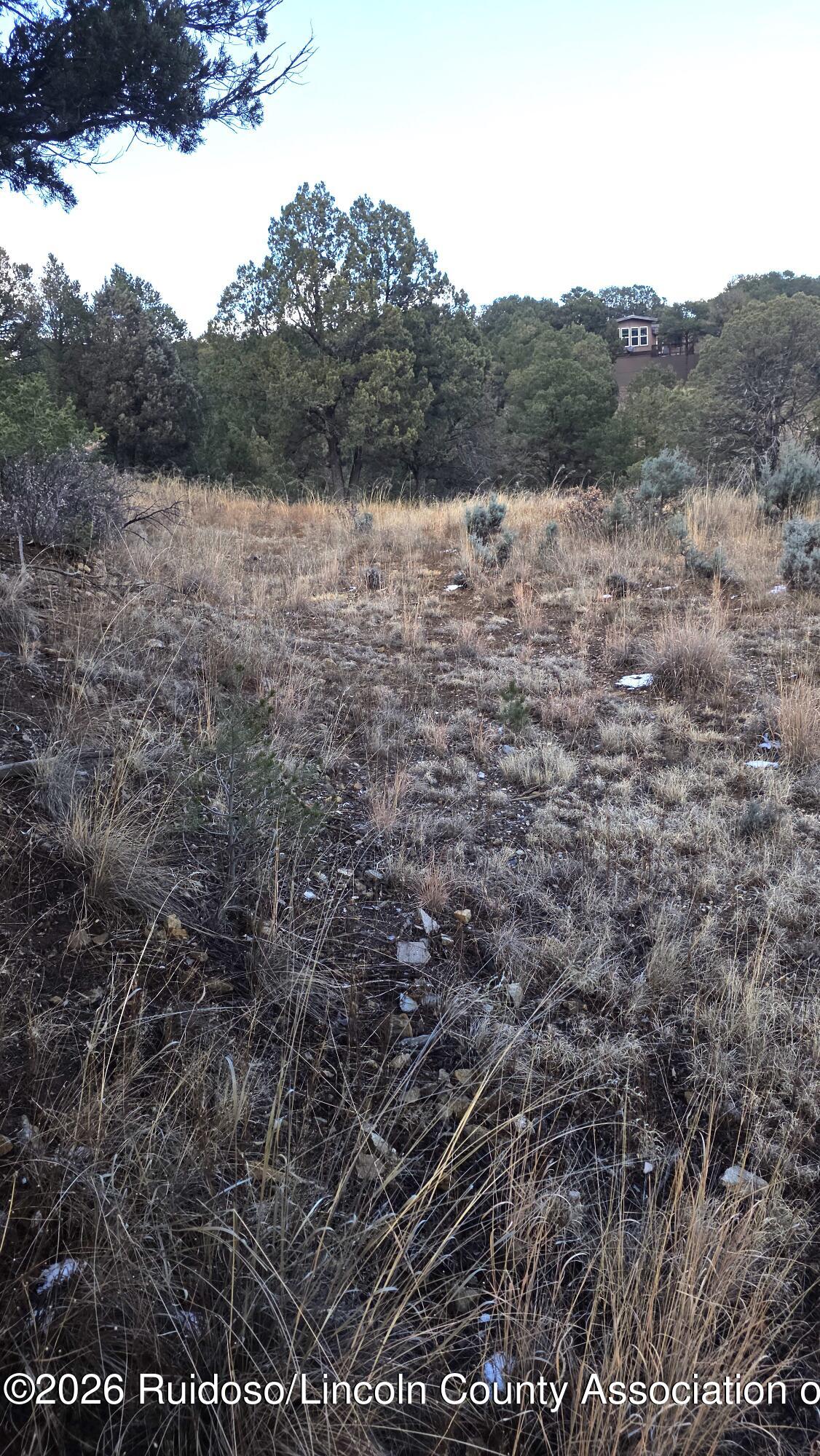 00 Wolf Springs Loop