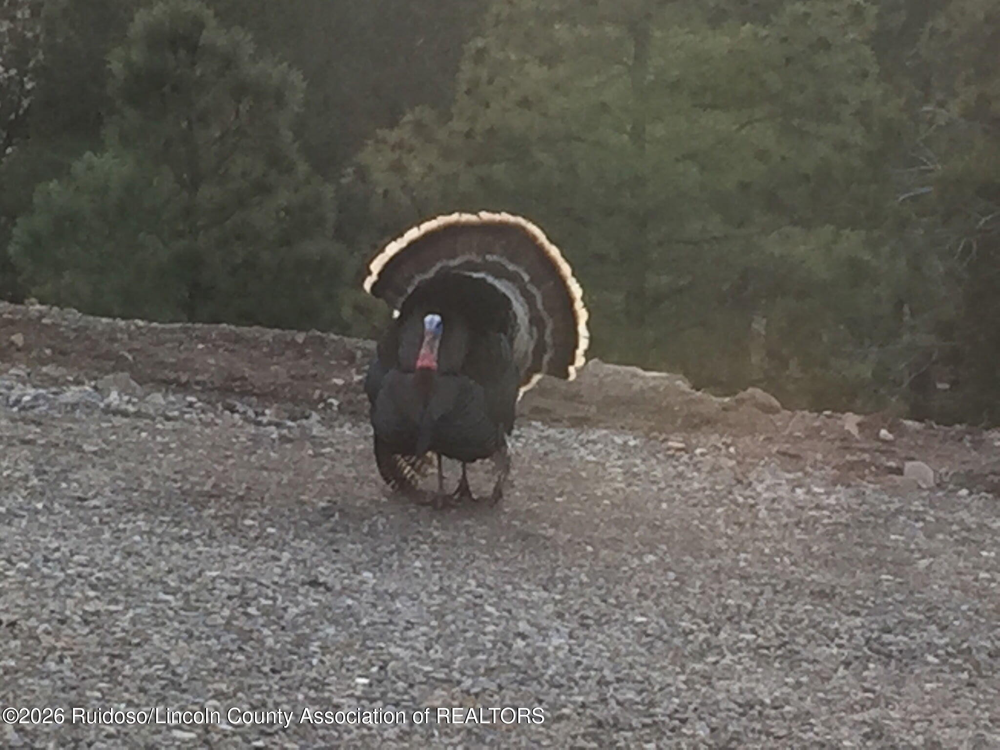 158 Little Creek Hills Road