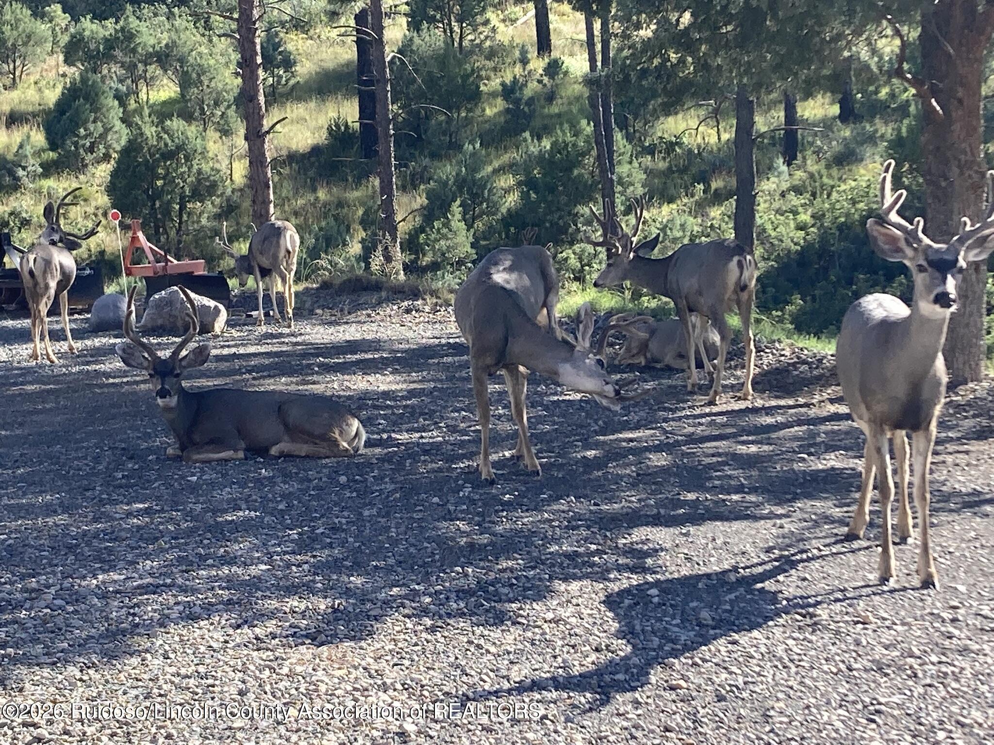 158 Little Creek Hills Road