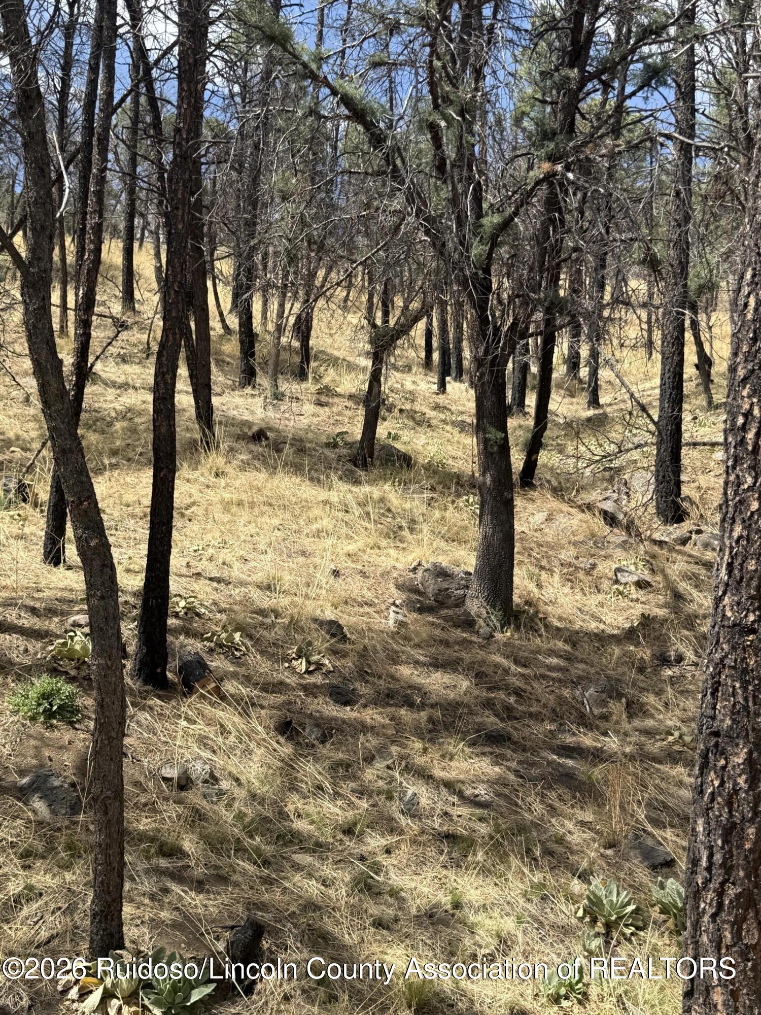 Lot 24 Lake Shore Drive