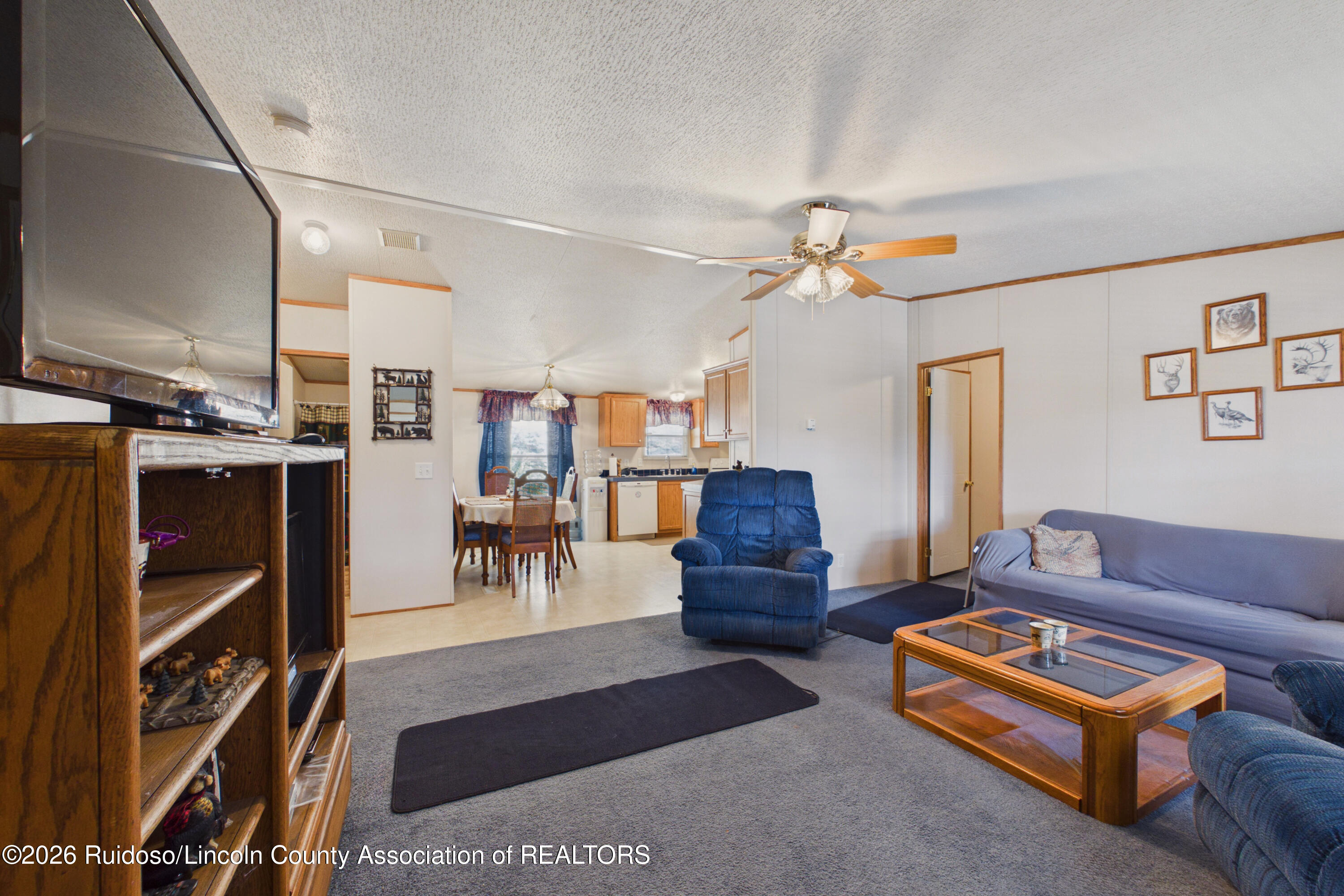207 Falcon Drive