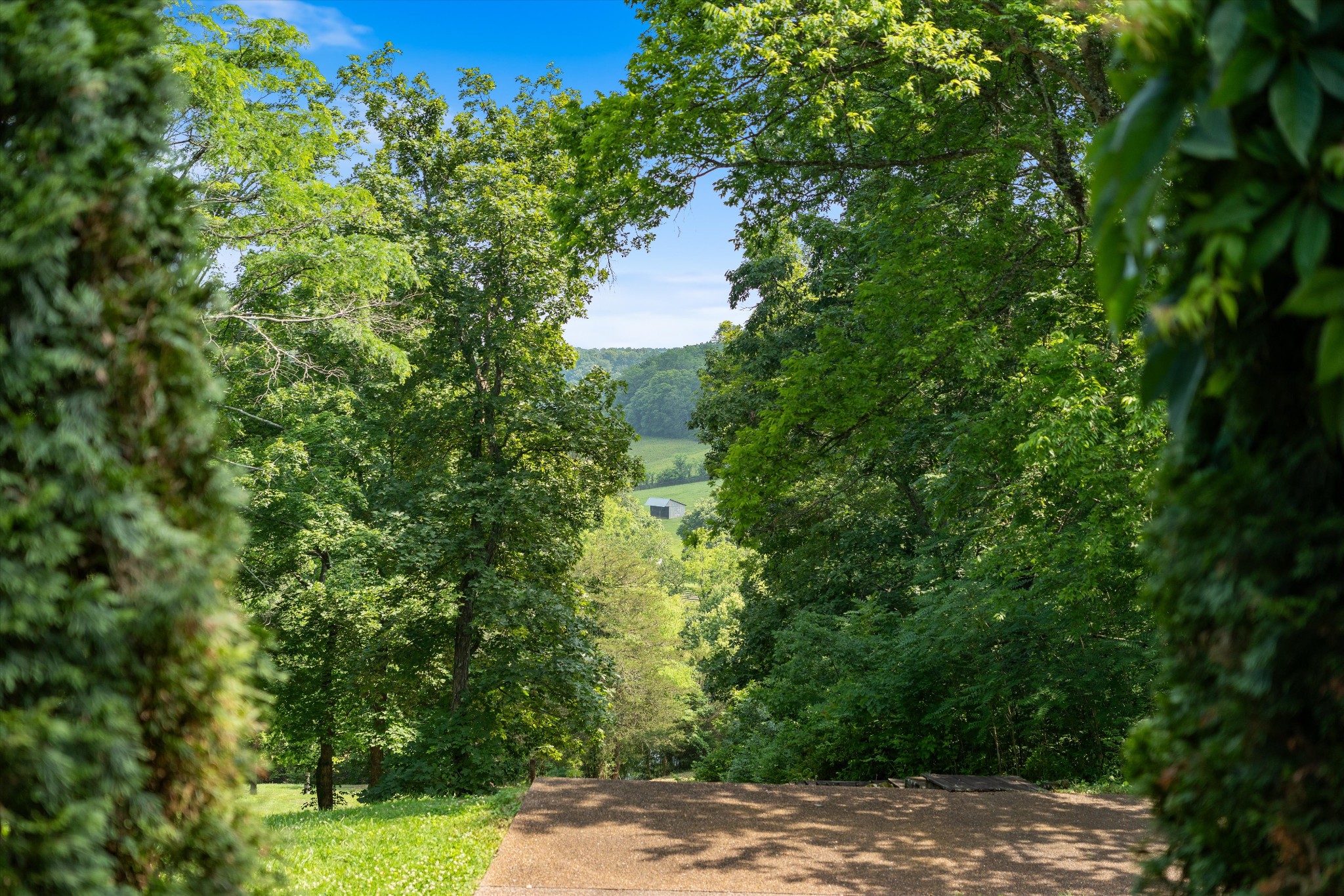 3360 Sweeney Hollow Rd