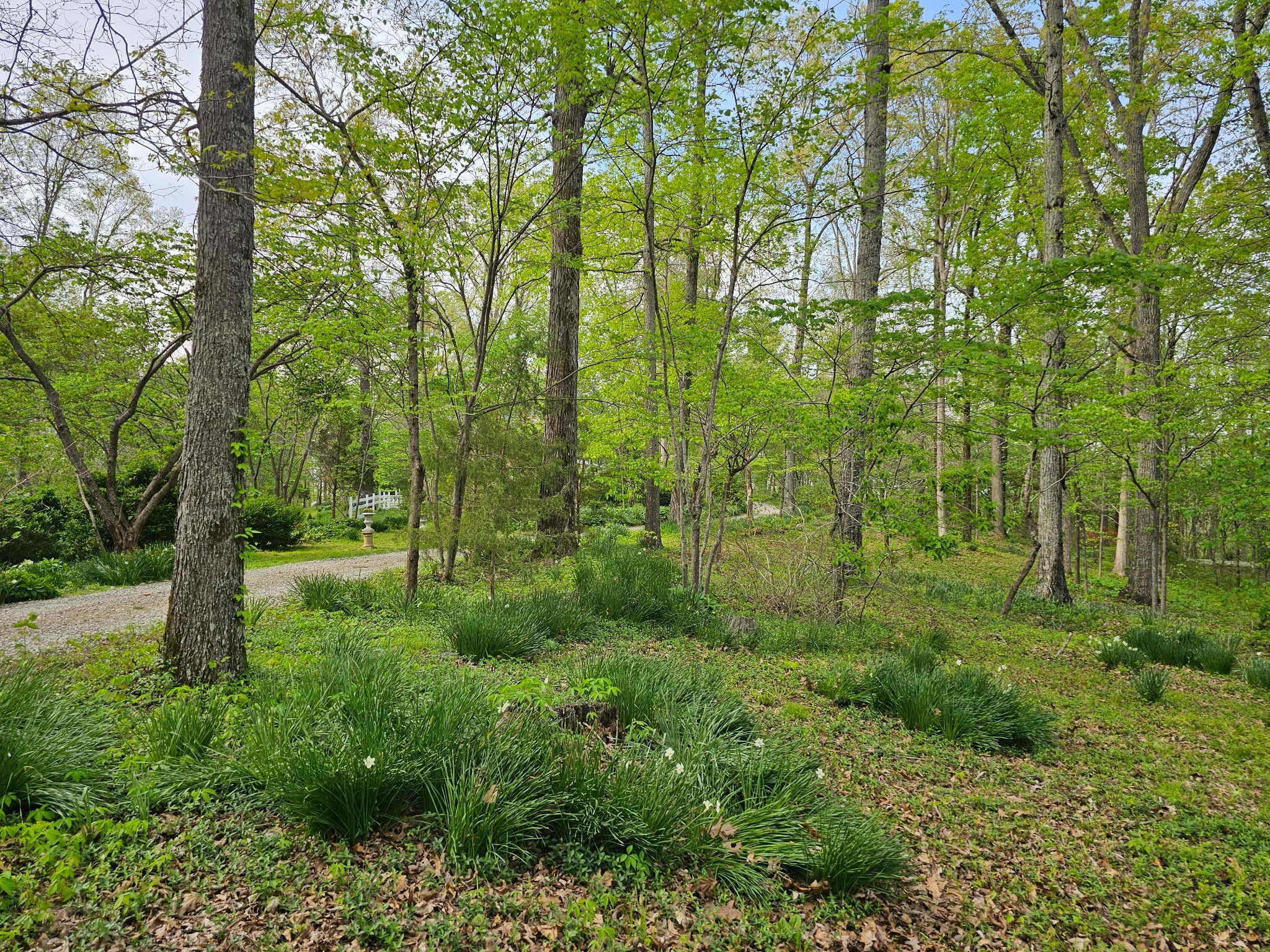 5180 Fire Tower Rd
