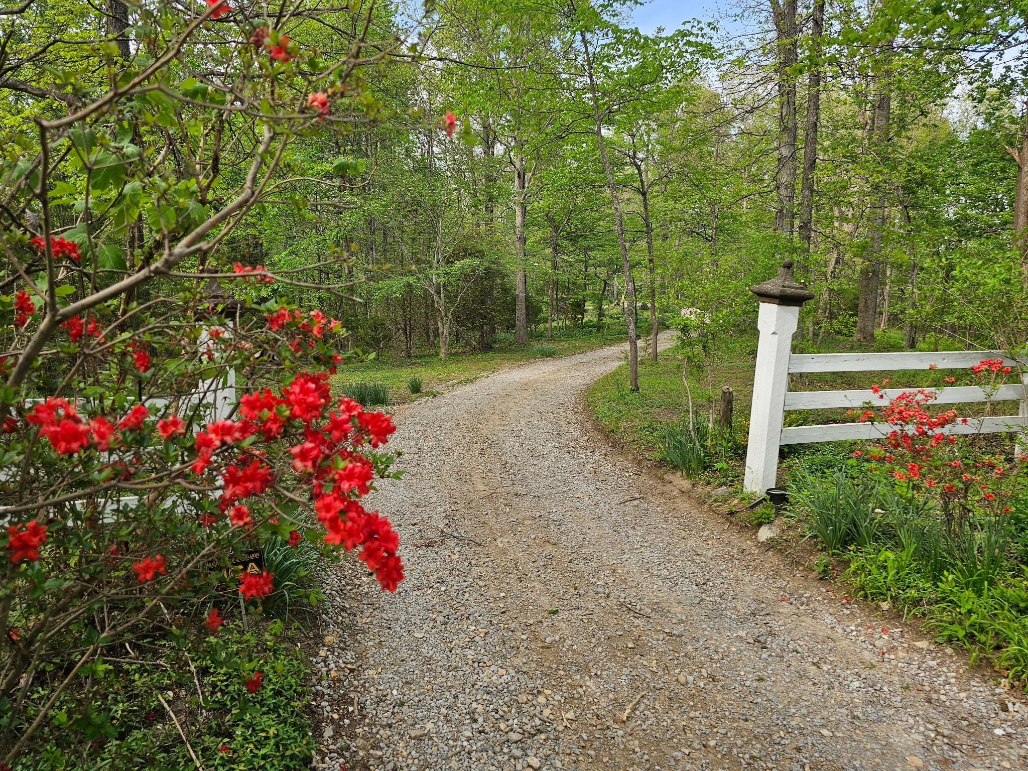5180 Fire Tower Rd