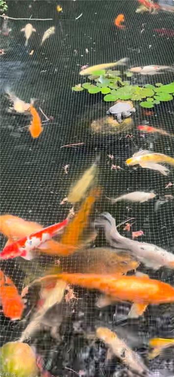 1513 Layden Cove WAY