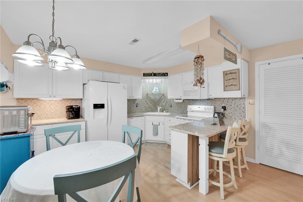 452 Marsh Duck WAY 39C1