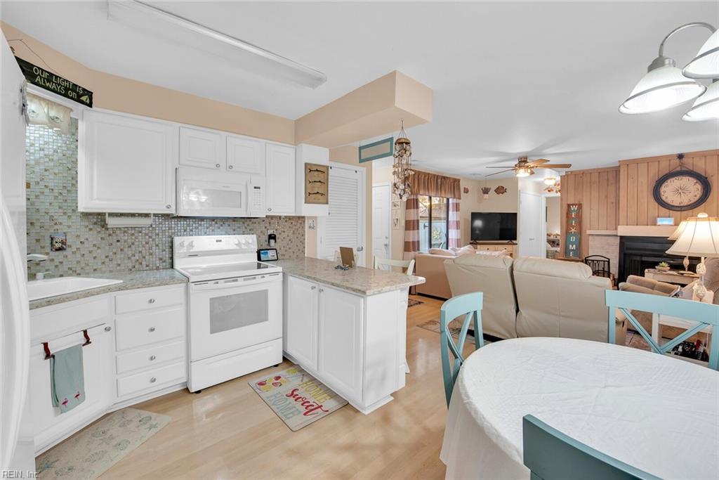 452 Marsh Duck WAY 39C1