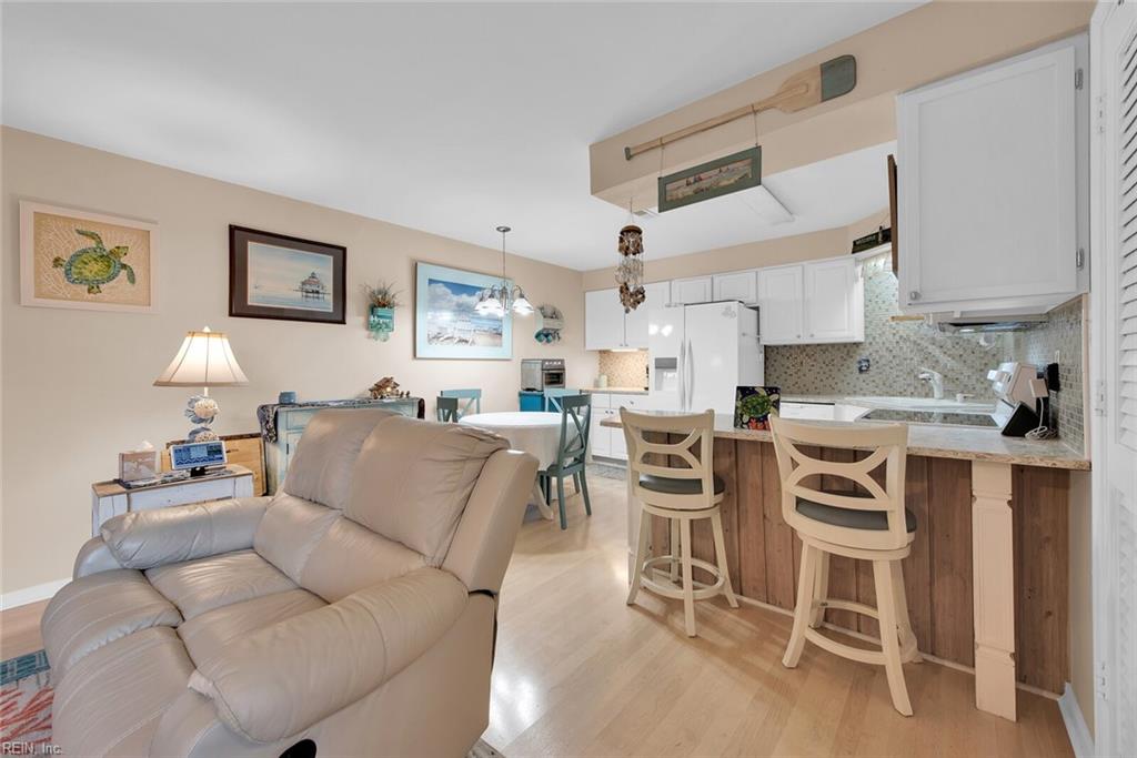 452 Marsh Duck WAY 39C1