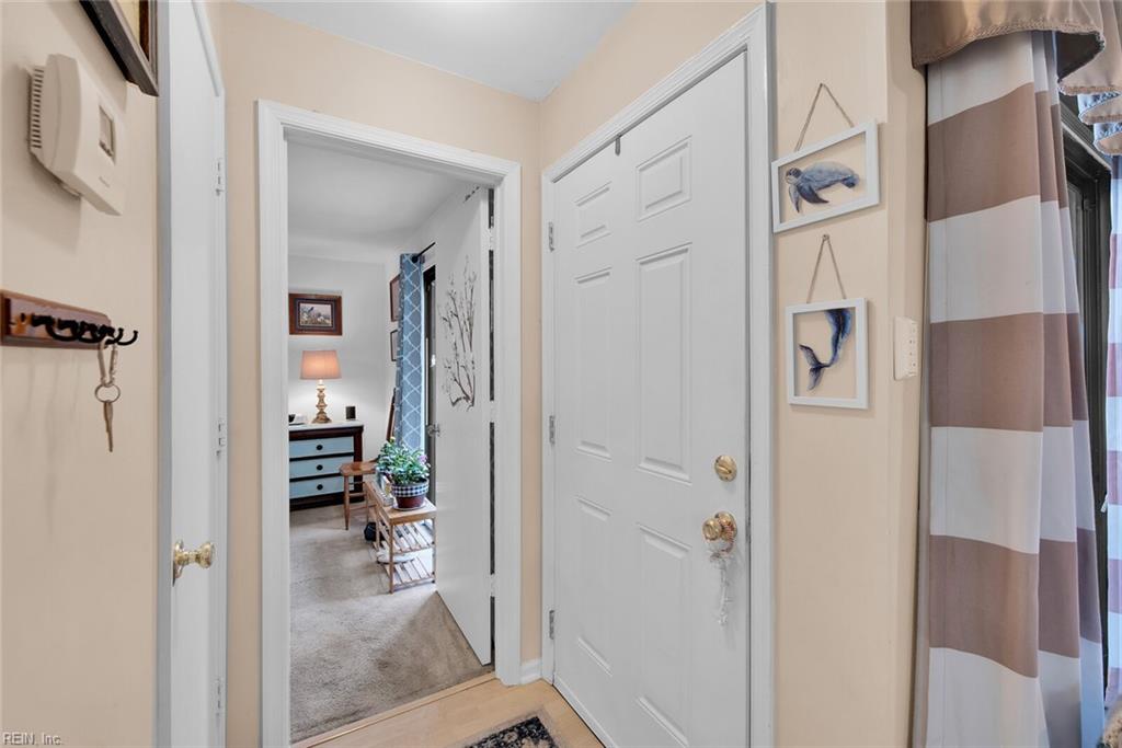 452 Marsh Duck WAY 39C1