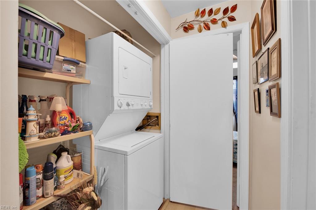 452 Marsh Duck WAY 39C1