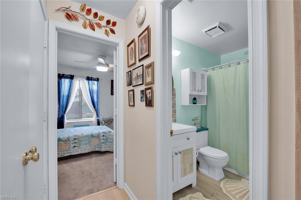 452 Marsh Duck WAY 39C1