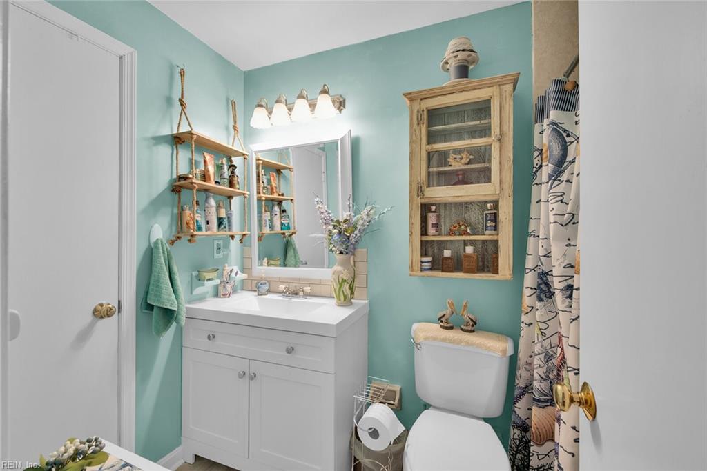 452 Marsh Duck WAY 39C1