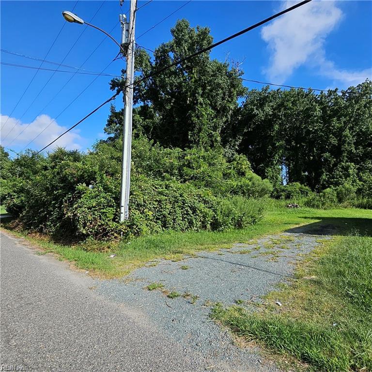 Vacant roadside lot with dense greenery, an overgrown paved driveway, and a utility pole.