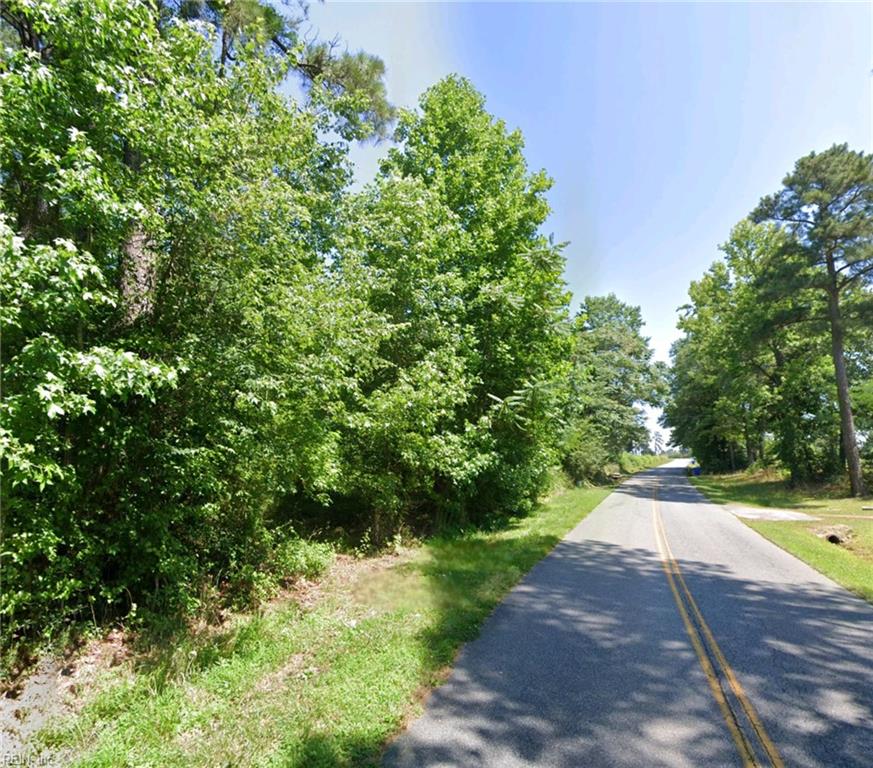 Tree-lined two-lane road stretching into the distance beneath a clear blue sky.