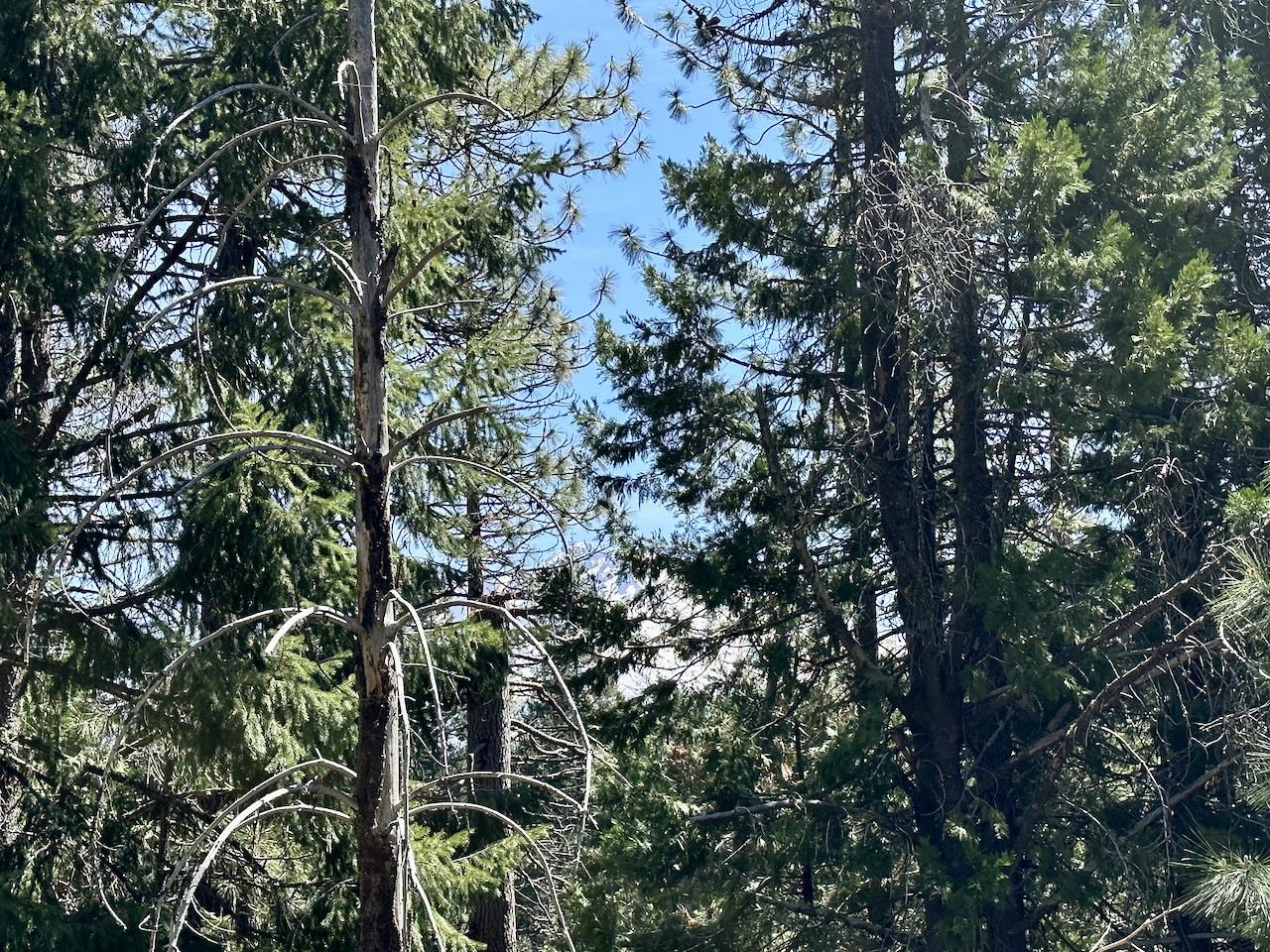 Lot 84-C High Meadow Drive