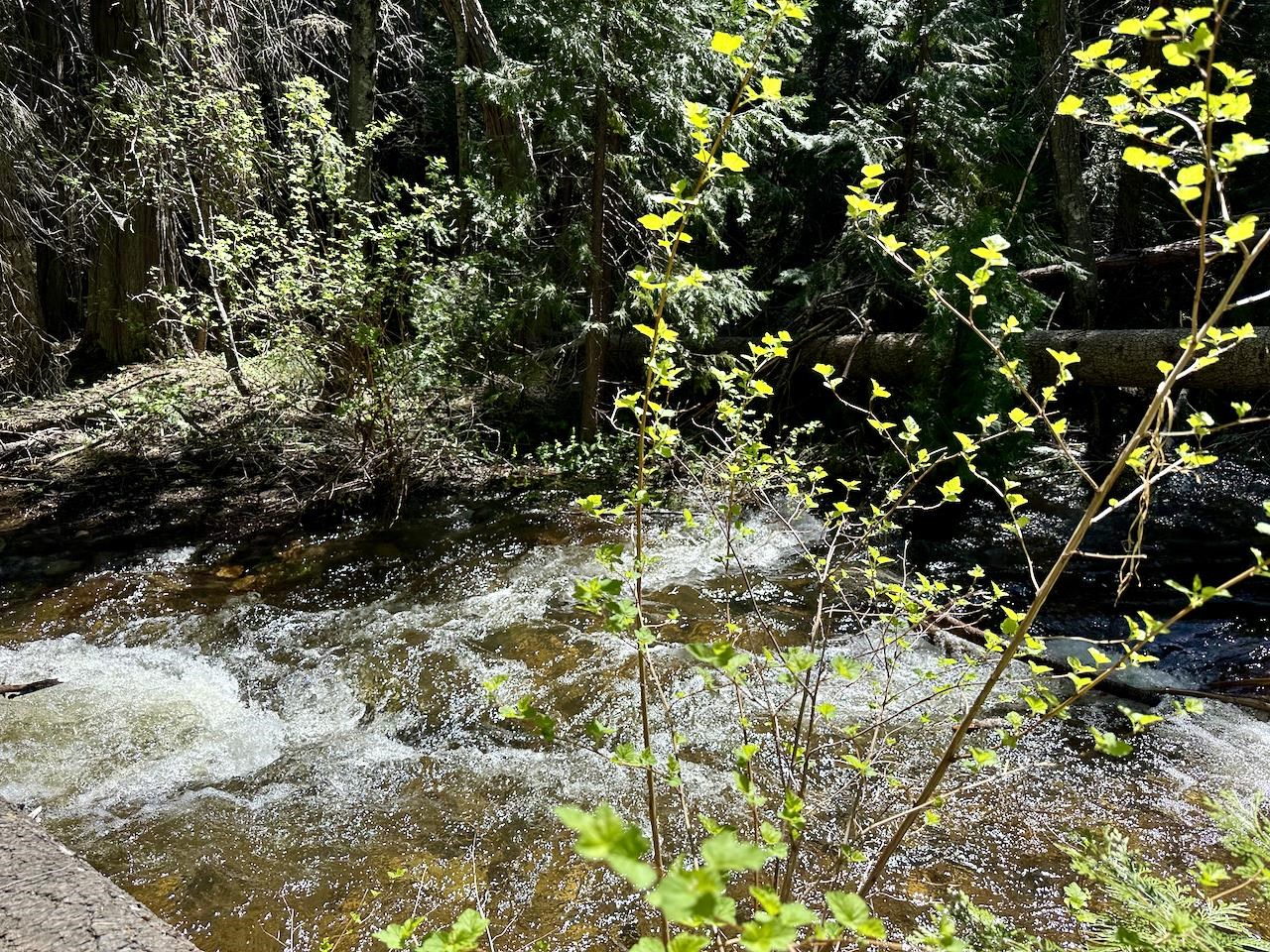Lot 84-C High Meadow Drive