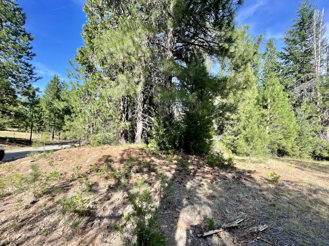 Lot 84-C High Meadow Drive