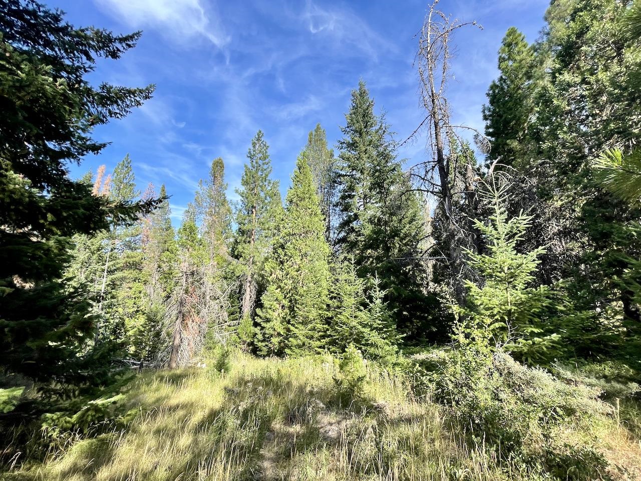Lot 84-C High Meadow Drive