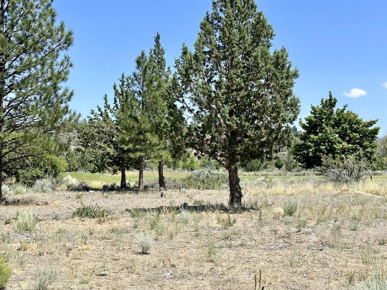 Lot 259 Lot 260, & 261 Casper Rd
