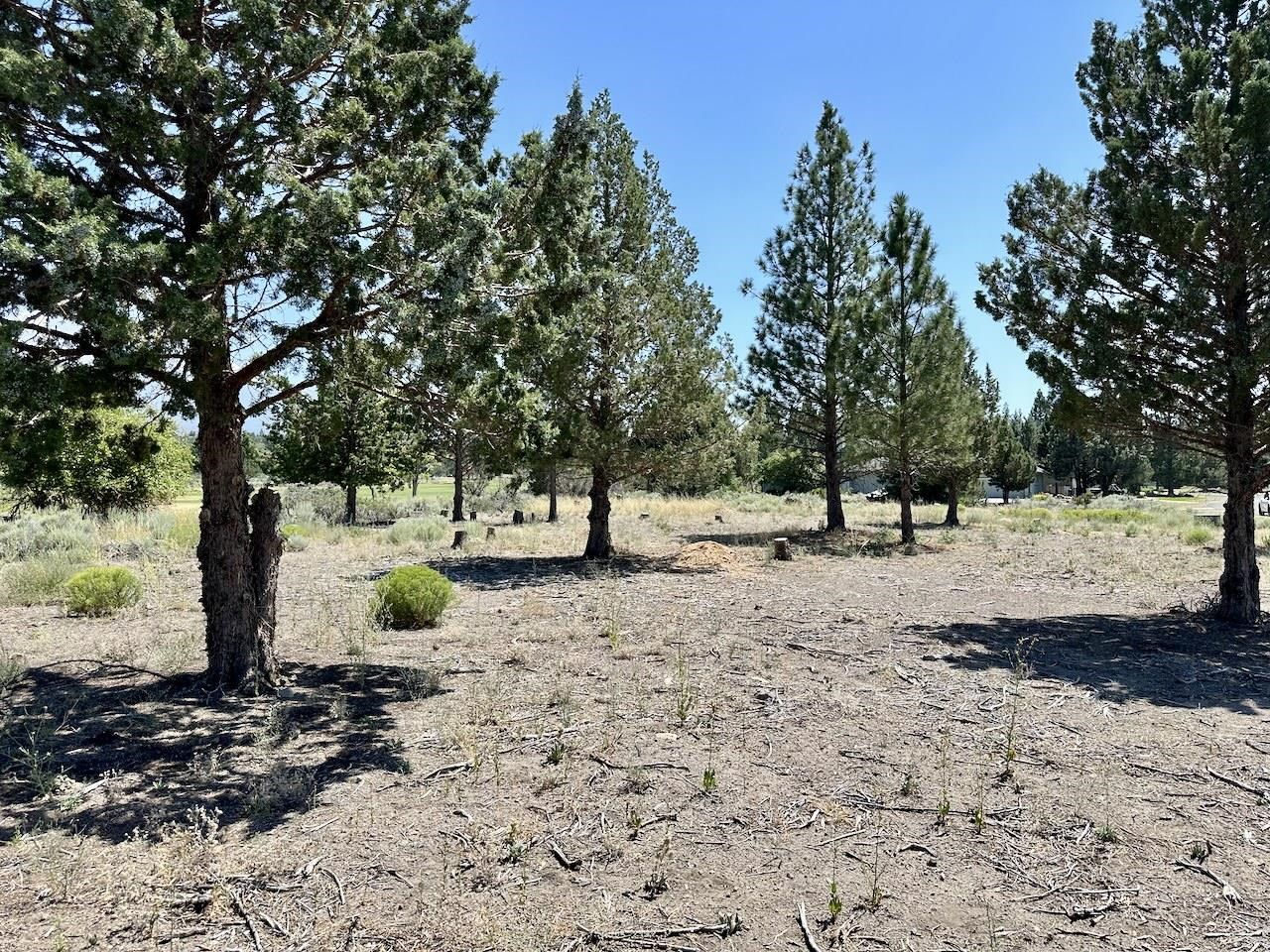 Lot 259 Lot 260, & 261 Casper Rd