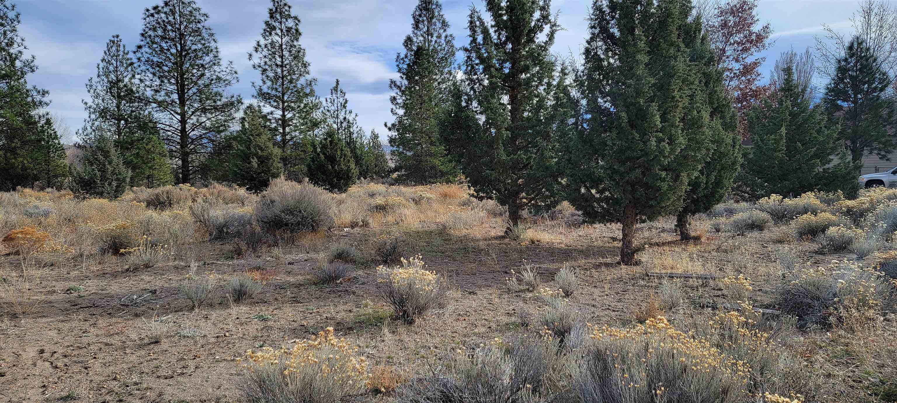 Lot 91 Lake Shore Dr