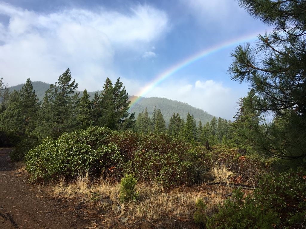 40 Acres Dale Creek Rd