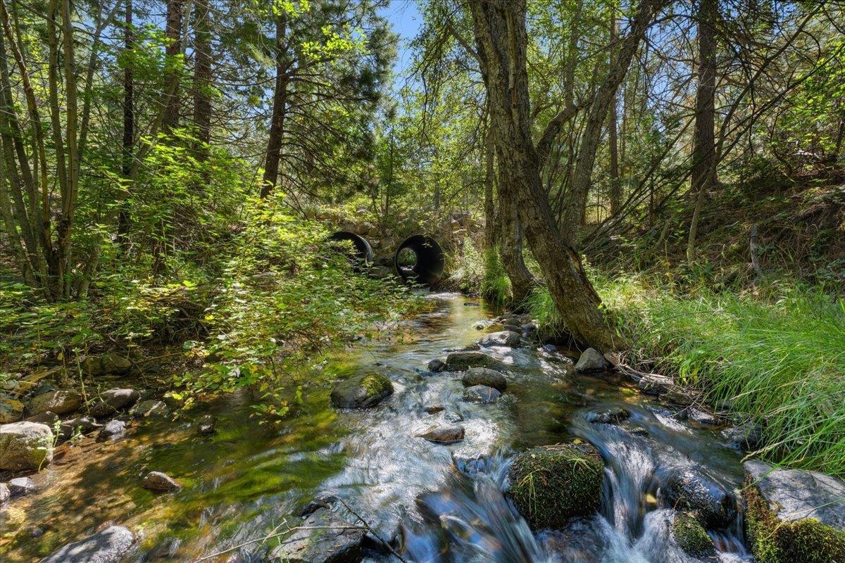 40 Acres Dale Creek Rd