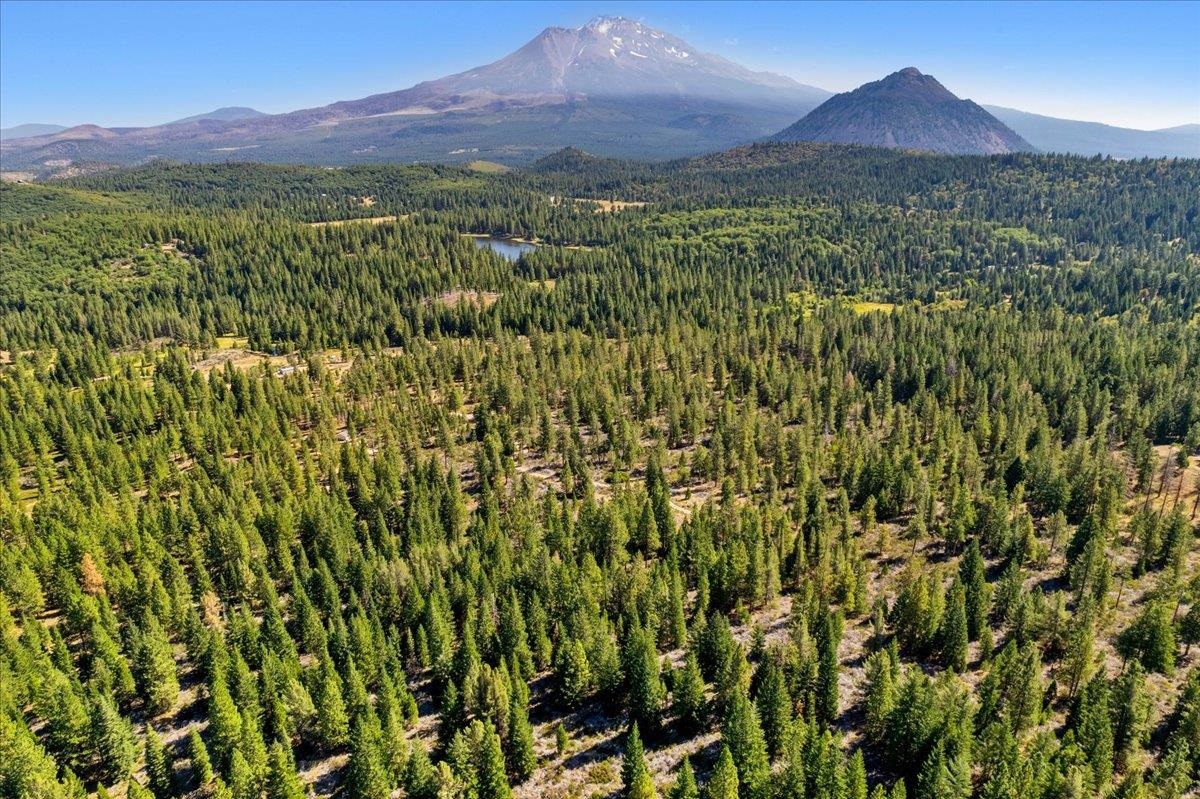 40 Acres Dale Creek Rd