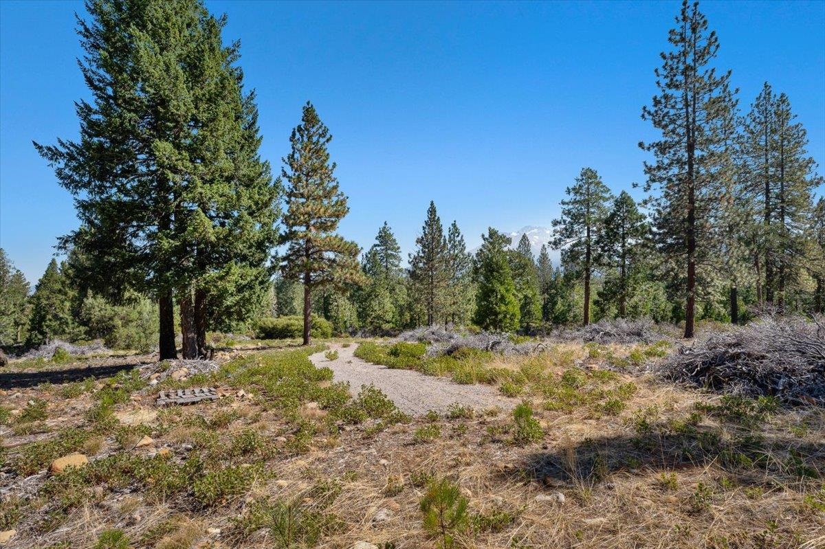 40 Acres Dale Creek Rd