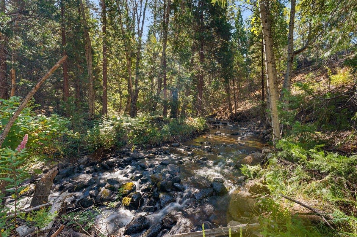 40 Acres Dale Creek Rd