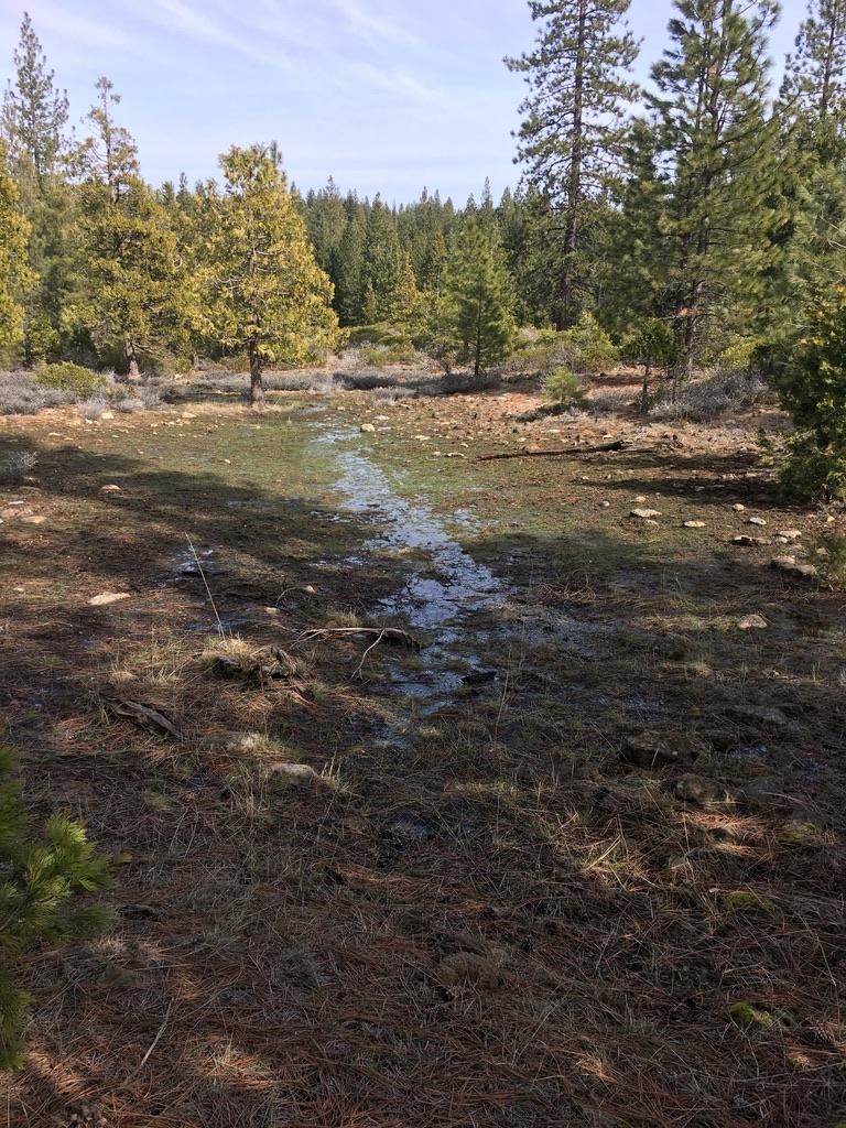 40 Acres Dale Creek Rd