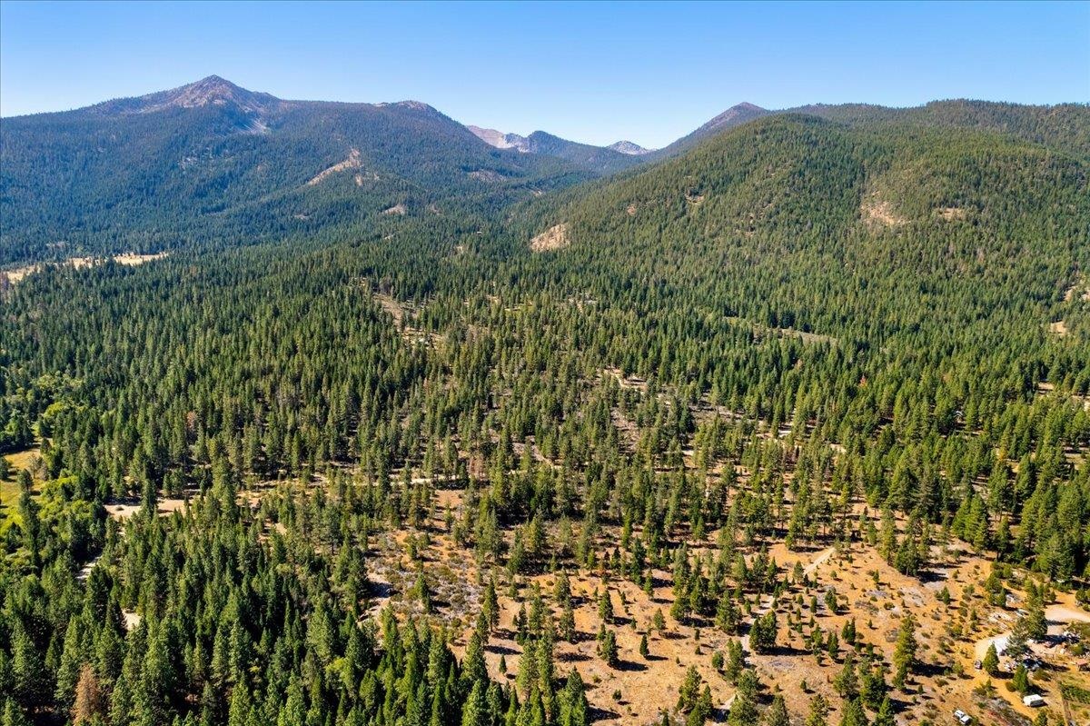 40 Acres Dale Creek Rd