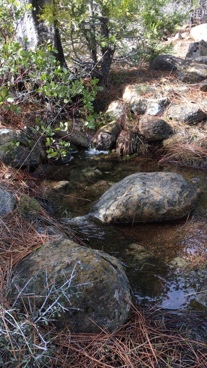 40 Acres Dale Creek Rd