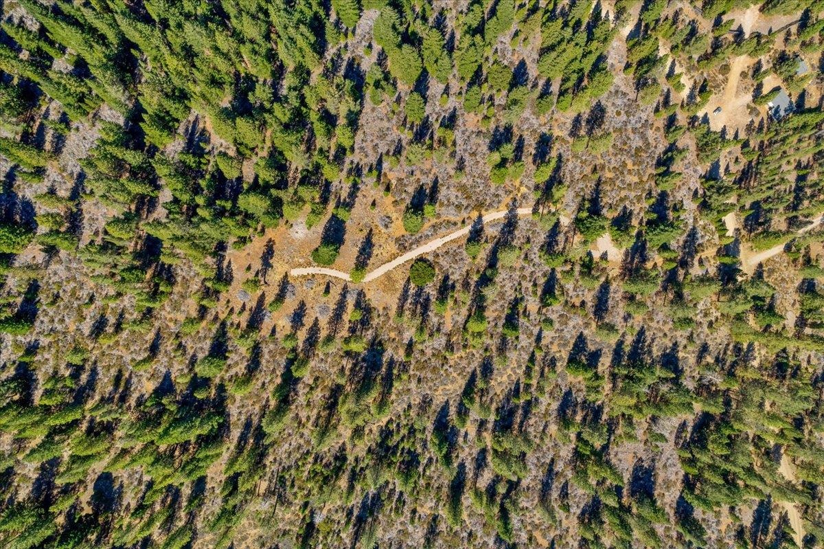 40 Acres Dale Creek Rd