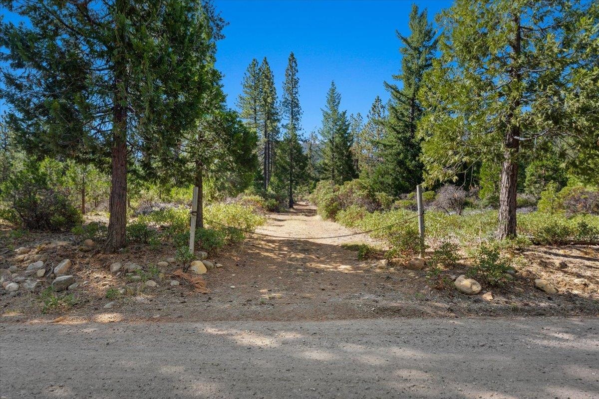40 Acres Dale Creek Rd