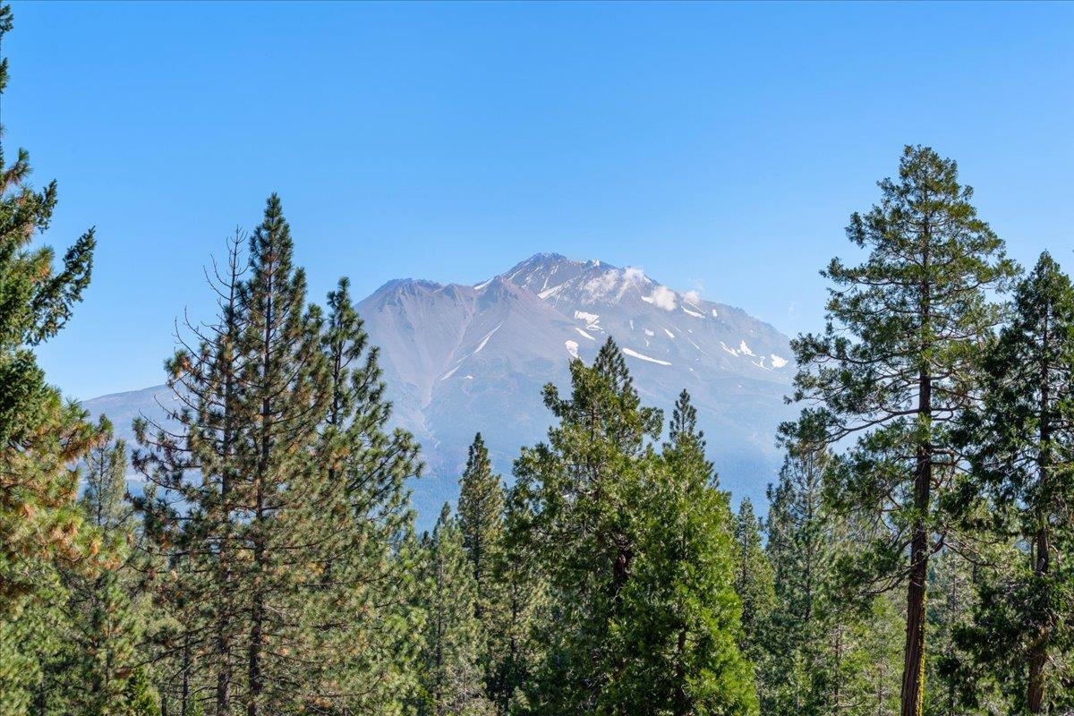 40 Acres Dale Creek Rd