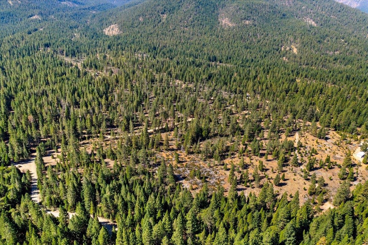 40 Acres Dale Creek Rd