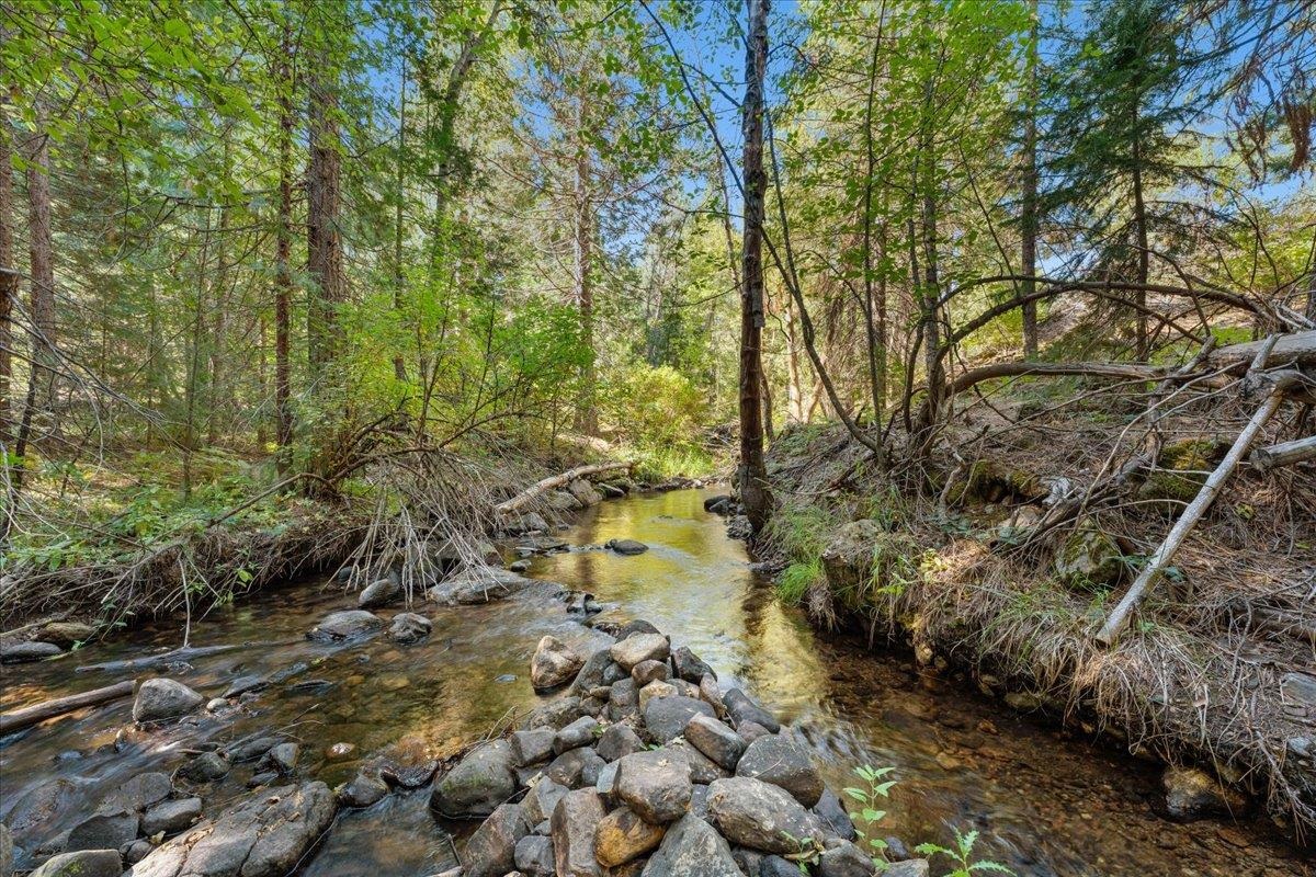 40 Acres Dale Creek Rd