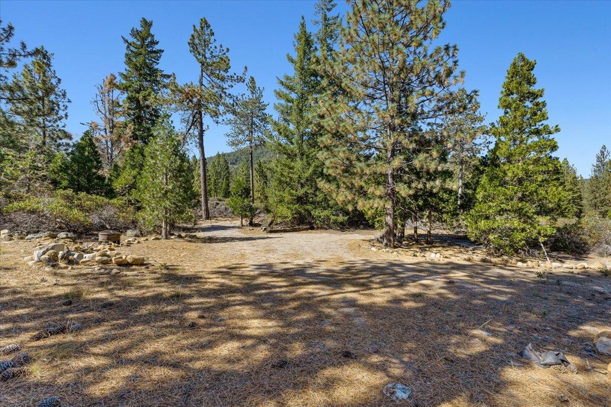 40 Acres Dale Creek Rd