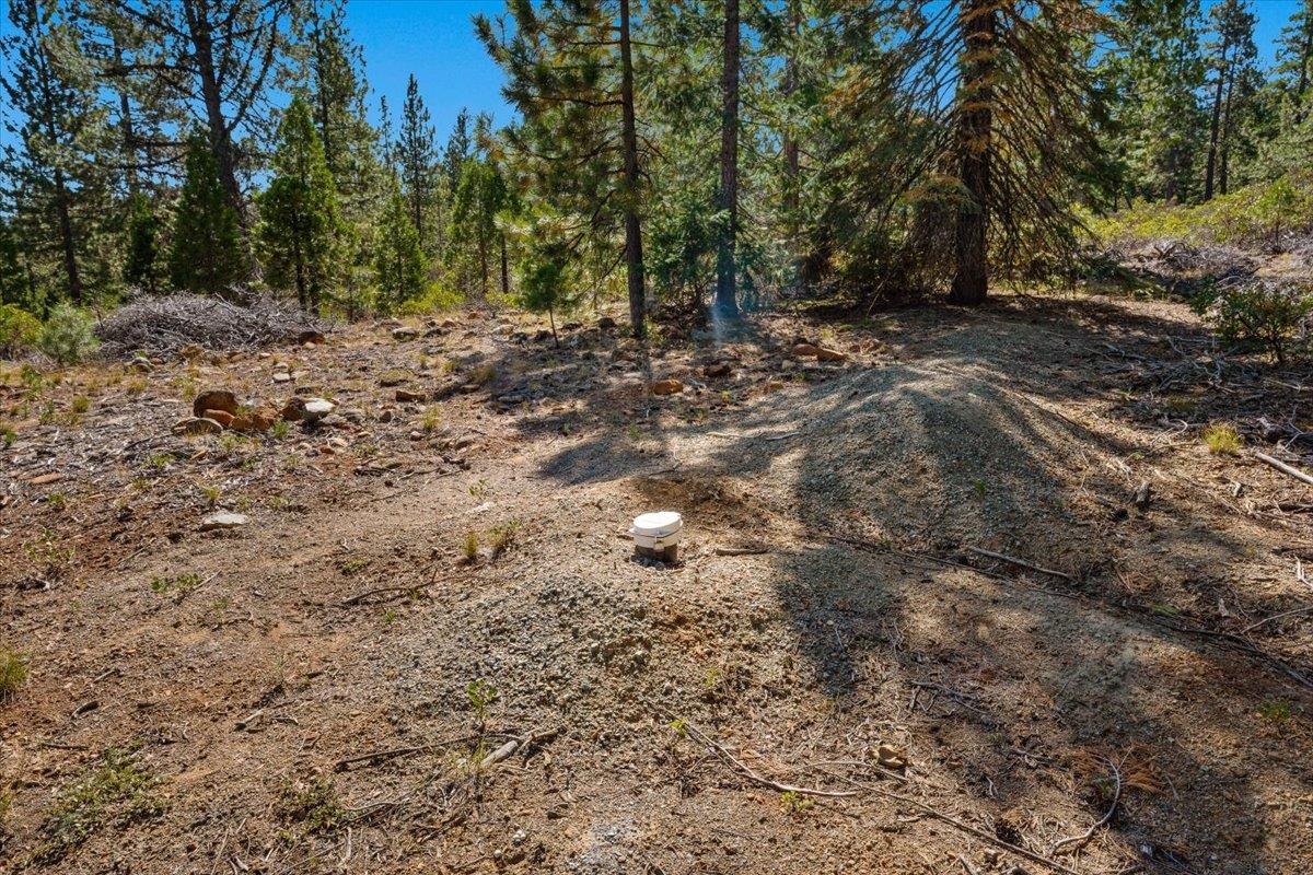 40 Acres Dale Creek Rd