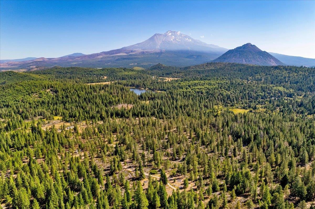 40 Acres Dale Creek Rd