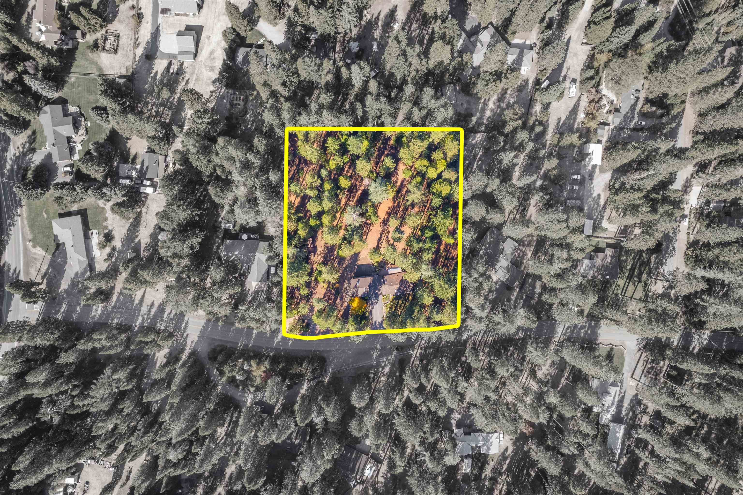 1137 Schilling Way