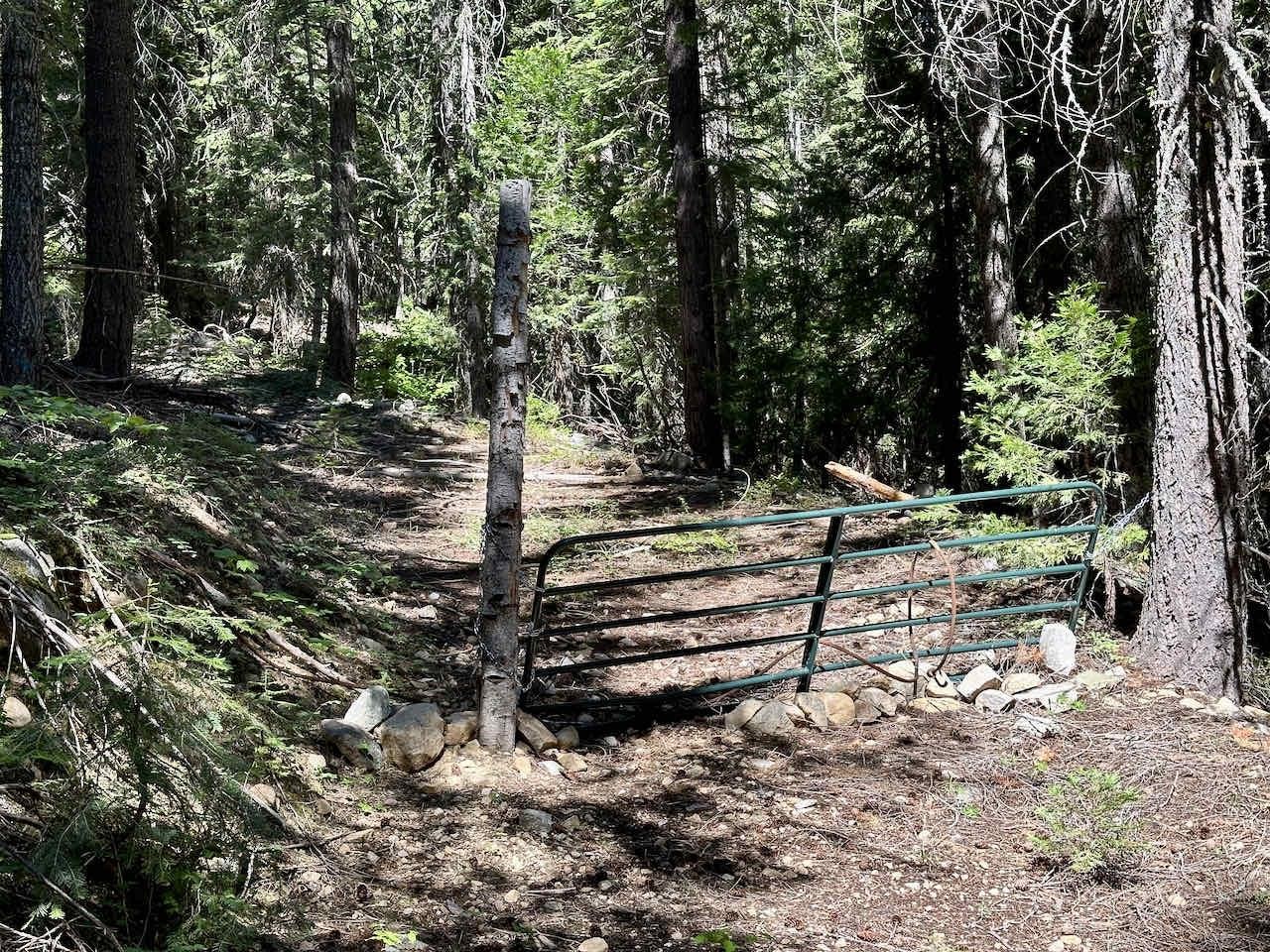 41 Acres Black Bear Loop