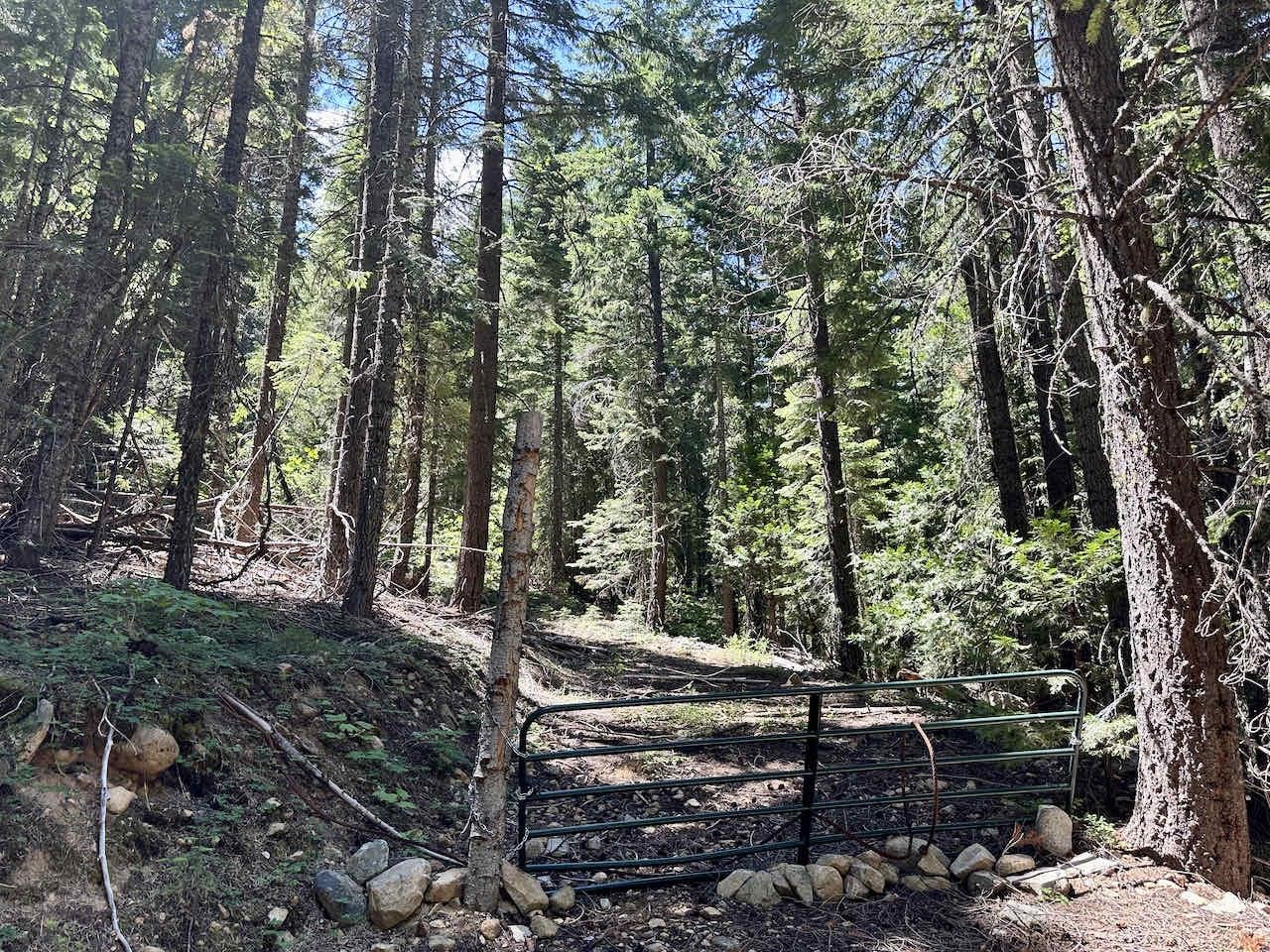 41 Acres Black Bear Loop