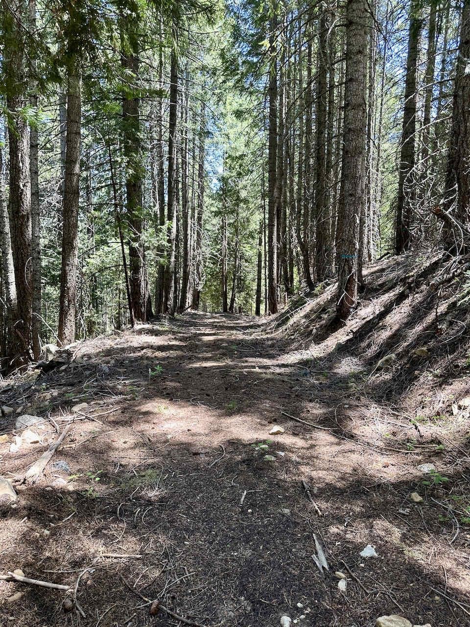 41 Acres Black Bear Loop