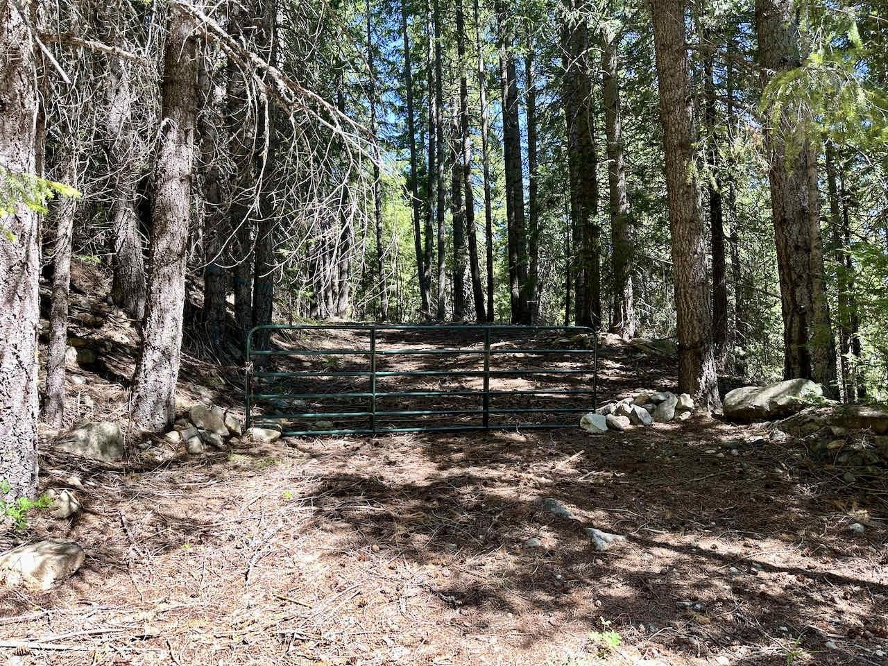 41 Acres Black Bear Loop