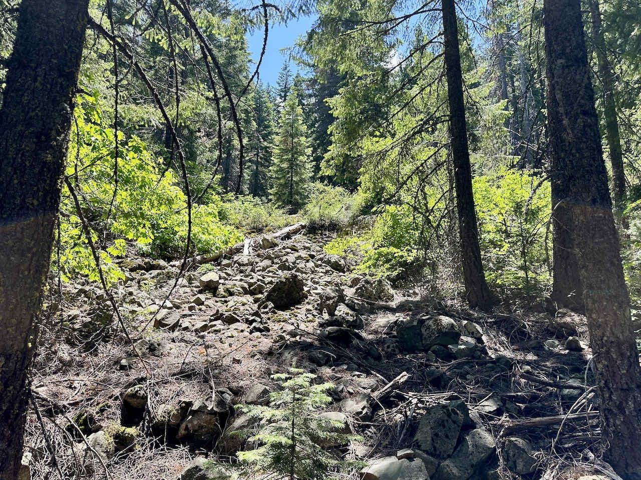 41 Acres Black Bear Loop