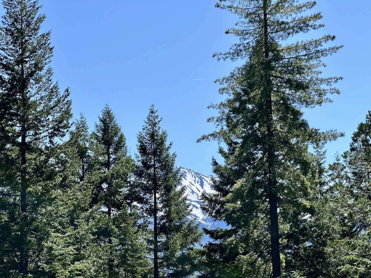 41 Acres Black Bear Loop