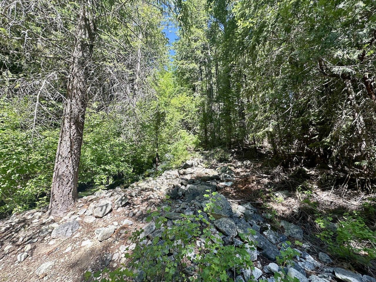 41 Acres Black Bear Loop