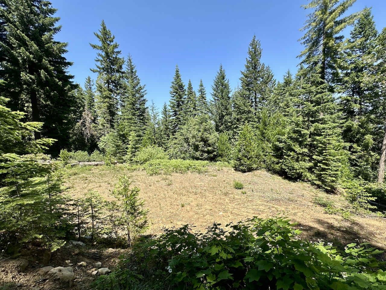 41 Acres Black Bear Loop
